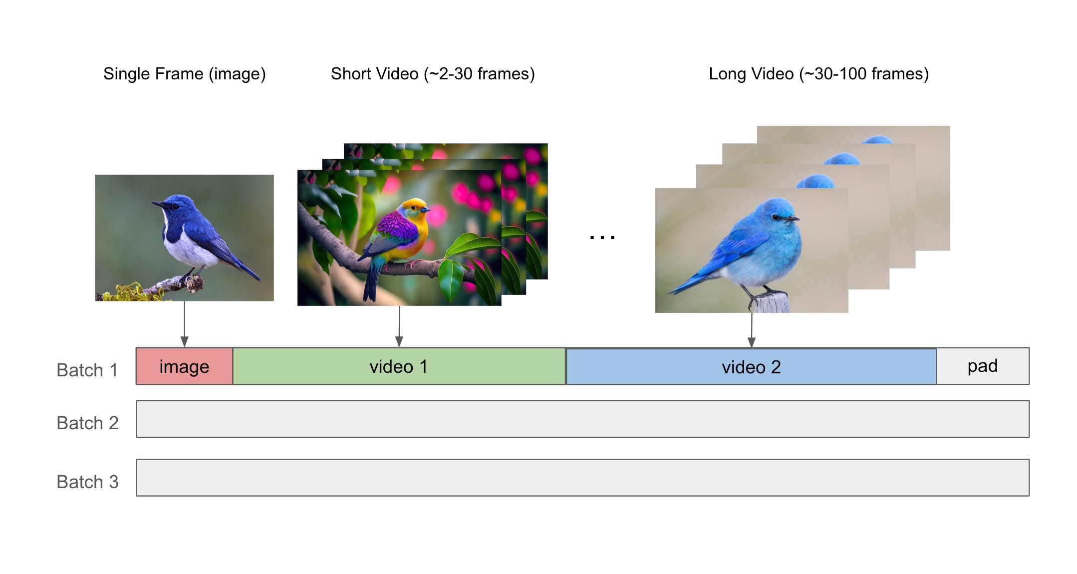 Diffusion Training Framework — NVIDIA NeMo Framework User Guide